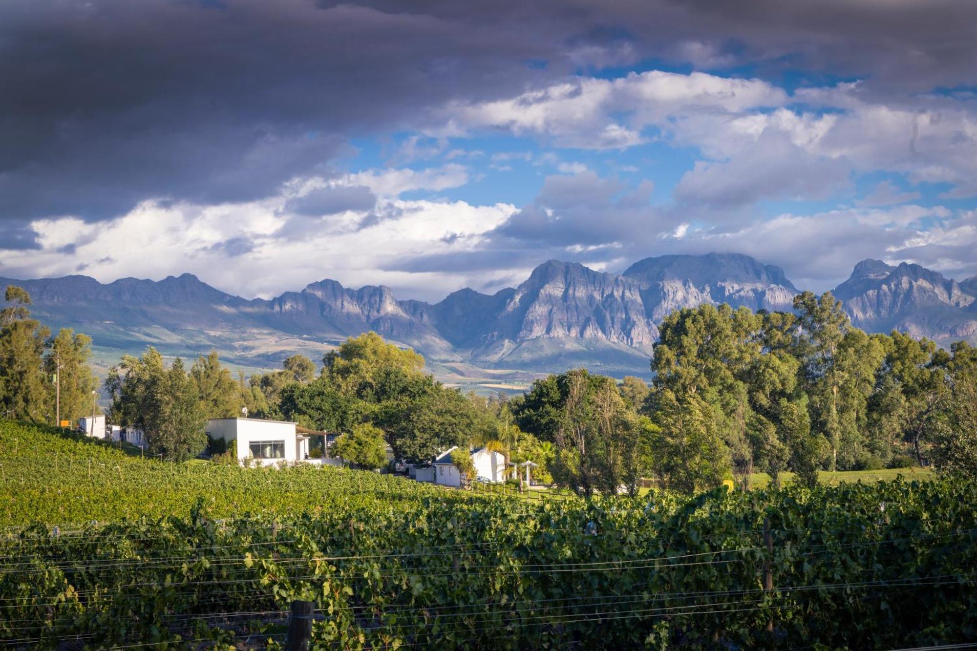 Tempel Wines Hotel Paarl Exterior foto