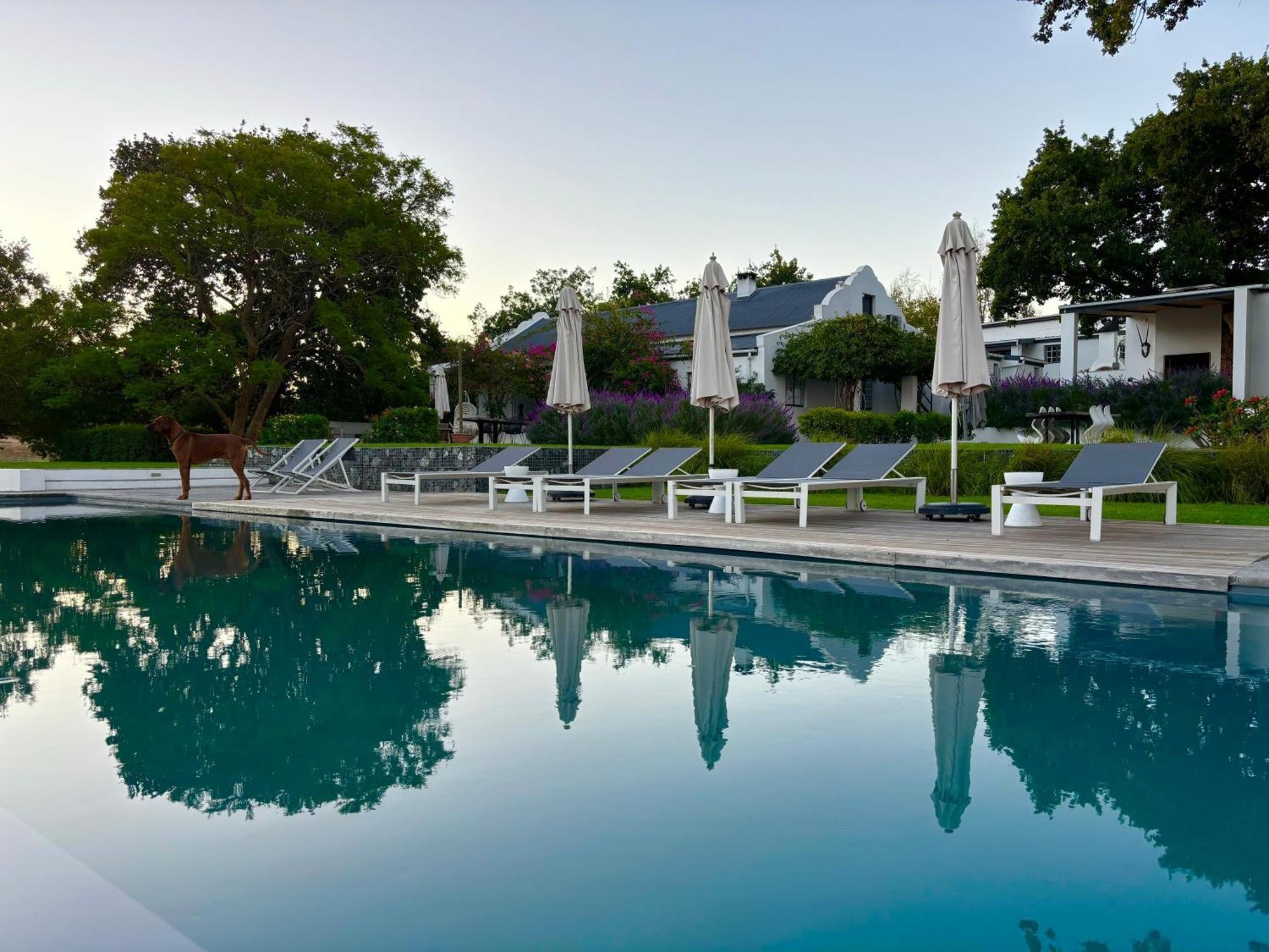 Tempel Wines Hotel Paarl Exterior foto
