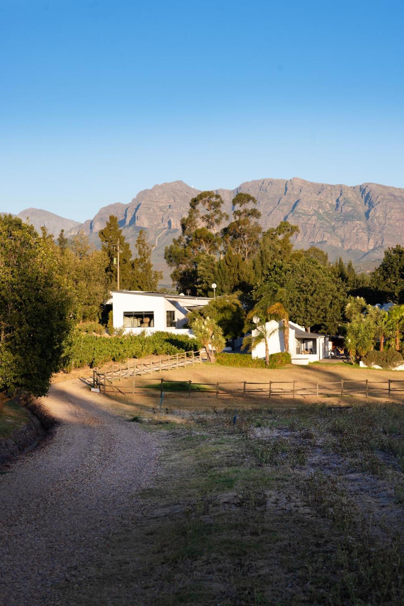 Tempel Wines Hotel Paarl Exterior foto
